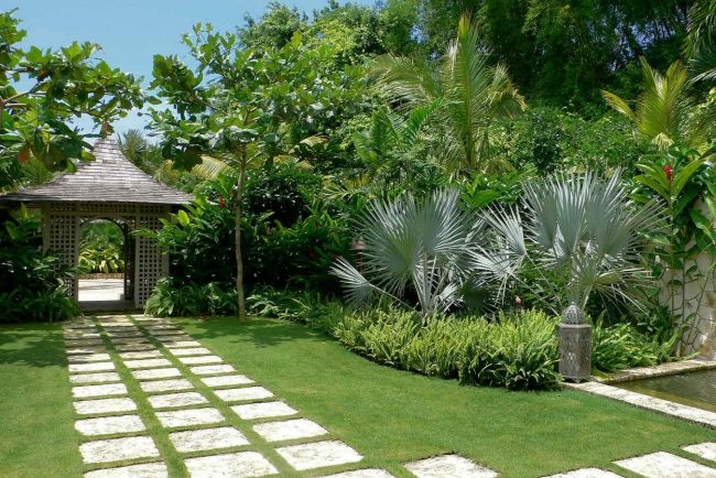 atmosfera tropicale giardino moderno sentiero realizzato lastre calcestruzzo
