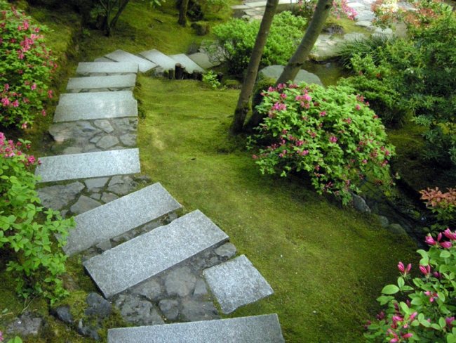 giardini moderni giapponesi sentiero realizzato piastre calcestruzzo piatre cespugli