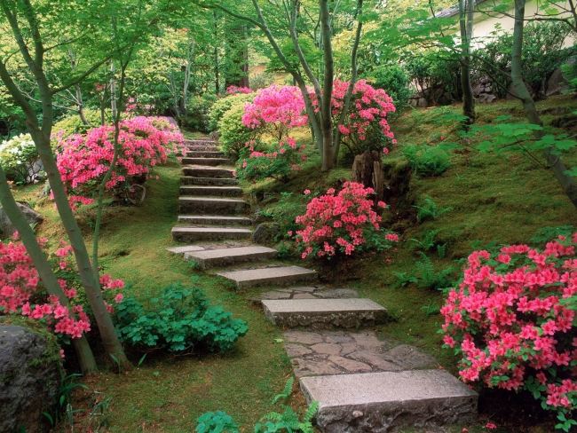 giardini moderni stile giapponese piccole stradine blocchi calcestruzzo pietre