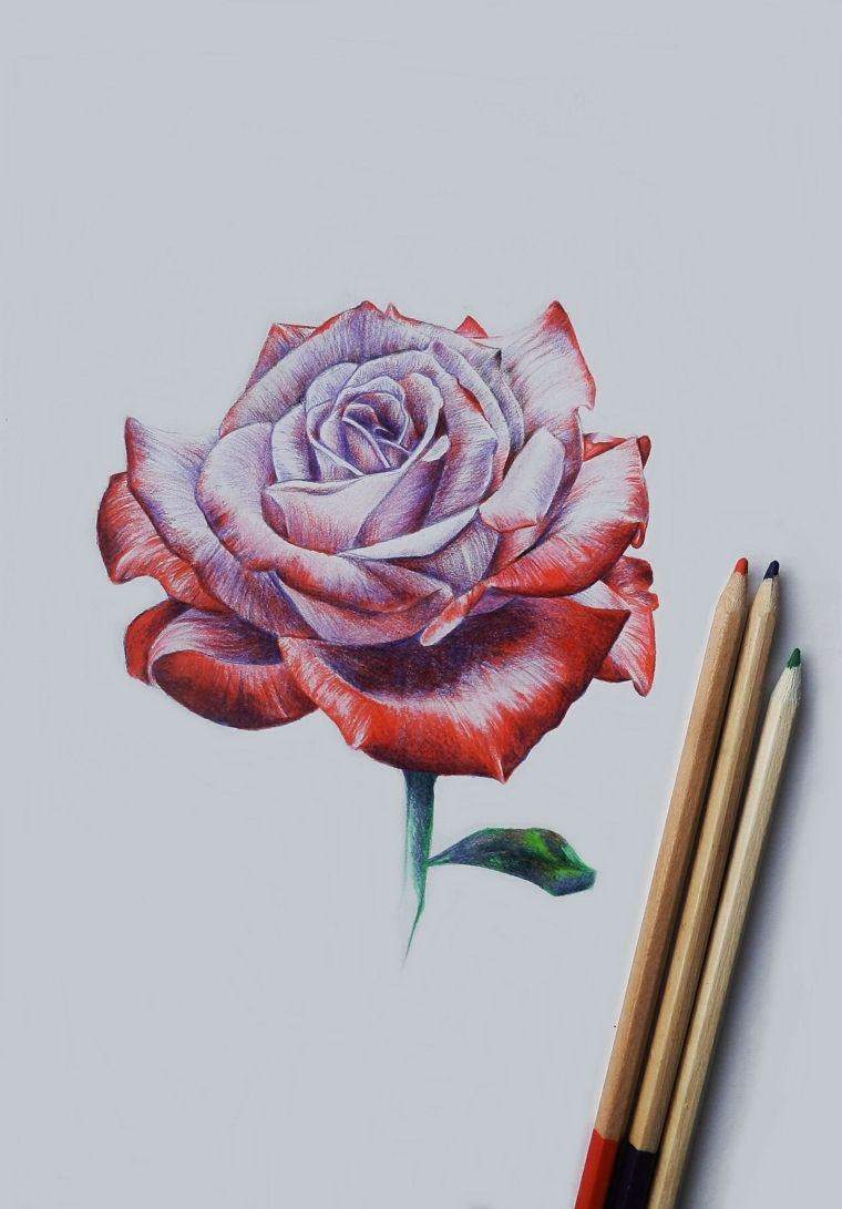 Come Disegnare Una Rosa 100 Immagini A Cui Ispirarsi