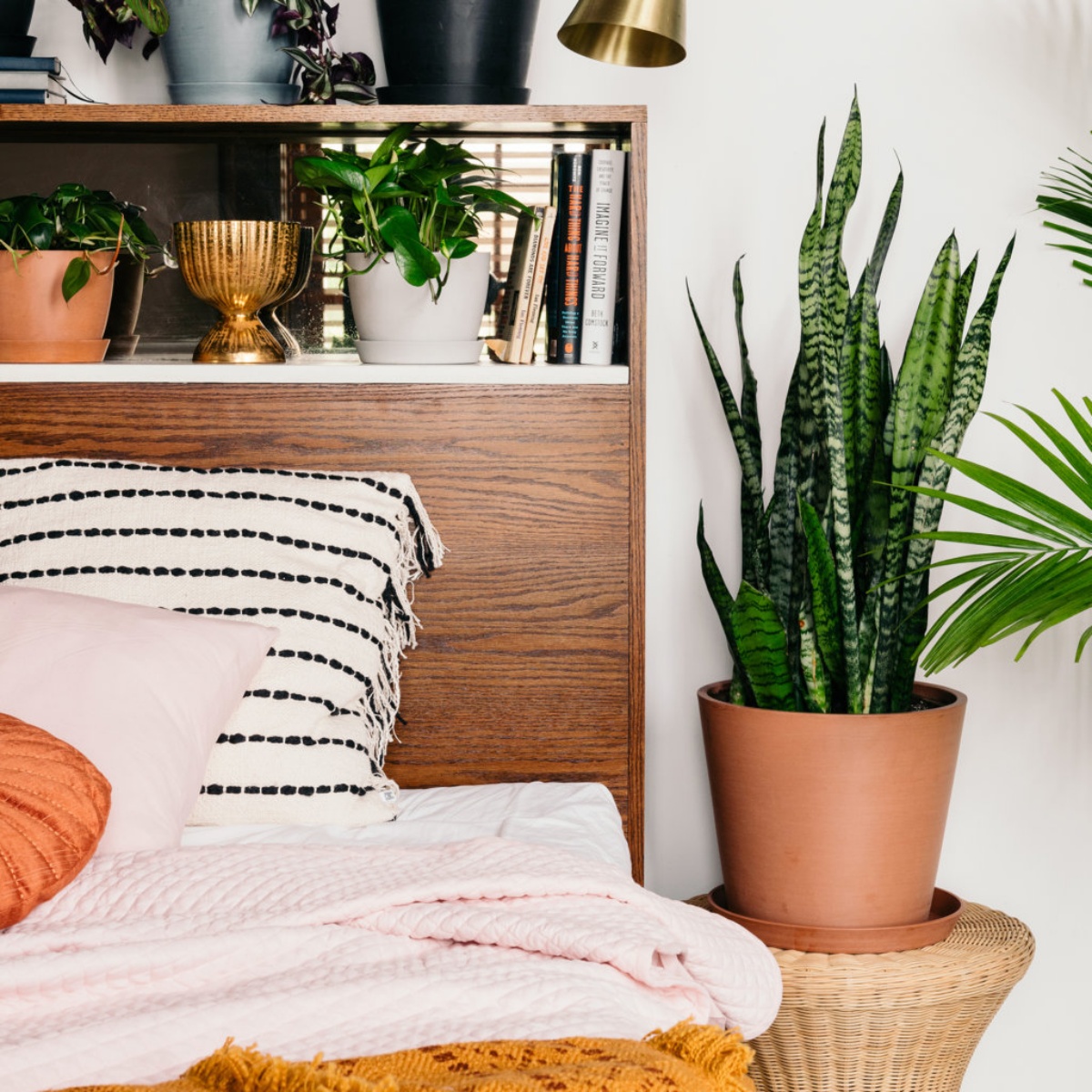 camera da letto con piante che purificano aria