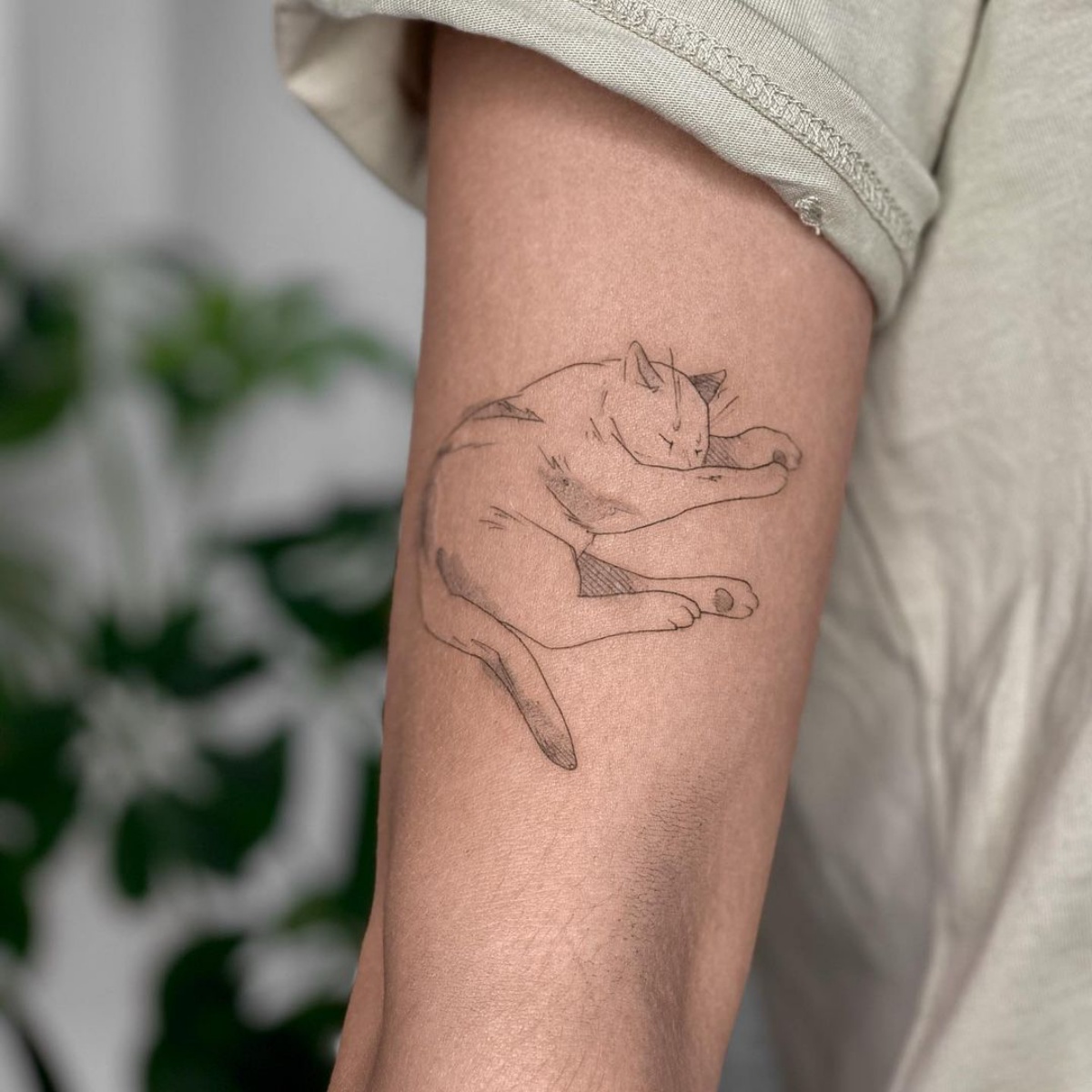 disegno gatto che dorme braccio tattoo donna