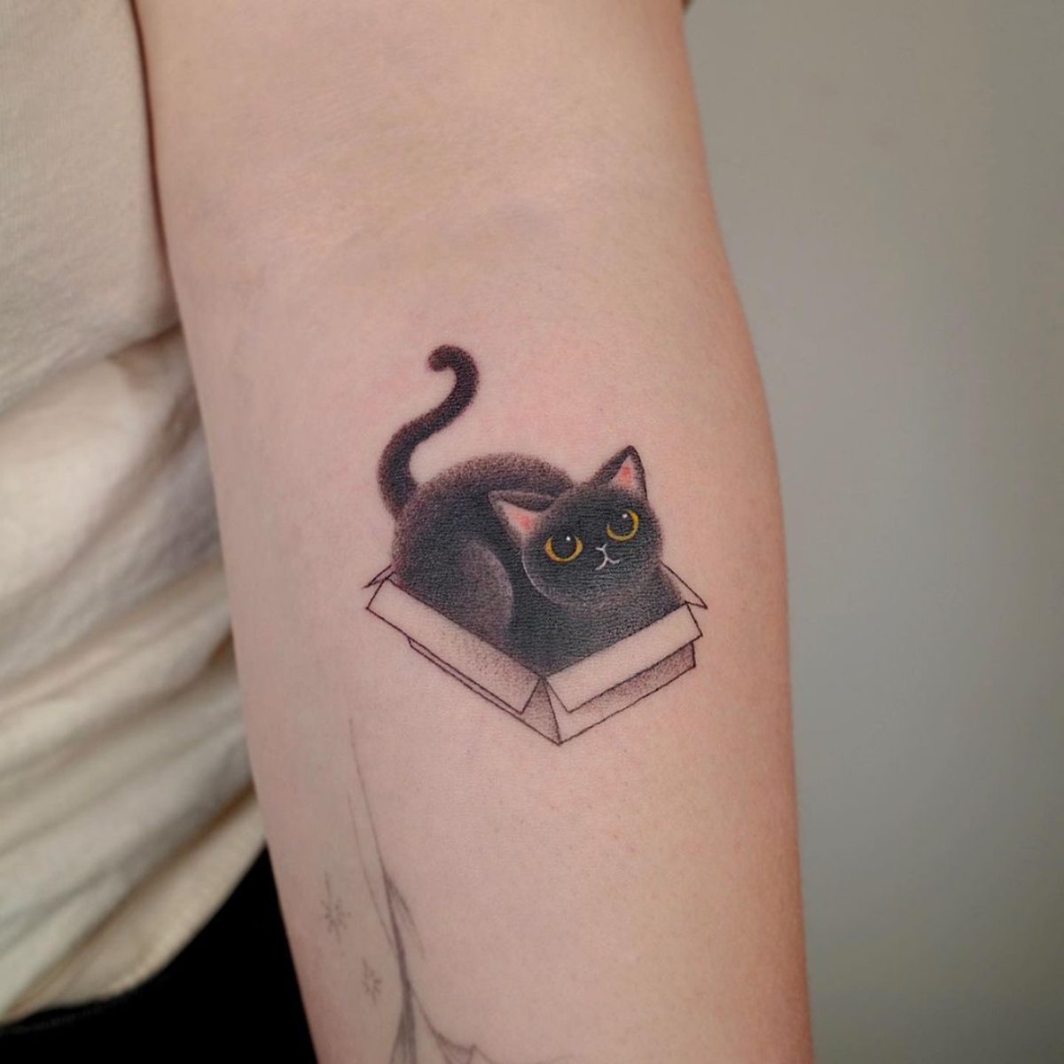 tattoo gatto disegno gattino nero in scatola