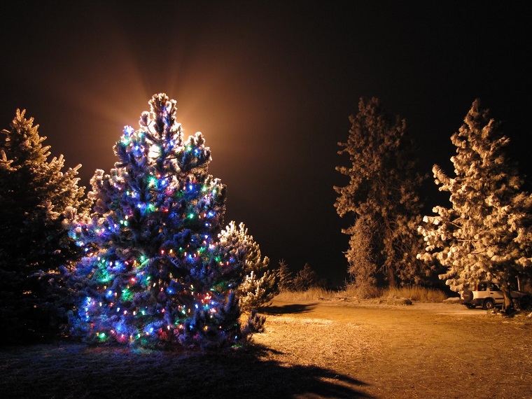 alberi di Natale addobbati idea esterno
