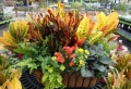 Giardino d'inverno: consigli e idee per l'arredamento