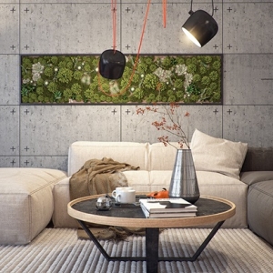 Giardino verticale – varie idee per l’esterno e l’interno