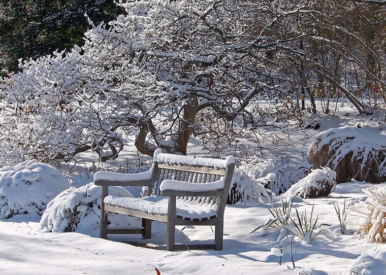 paesaggio freddo invernale incantato neve