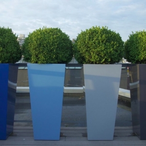 Piante da esterno, tante idee originali per garantire la privacy