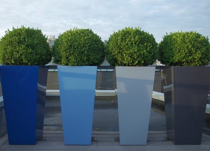 Piante da esterno, tante idee originali per garantire la privacy