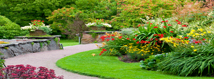 giardini proposta particolare piante verdi fiorite