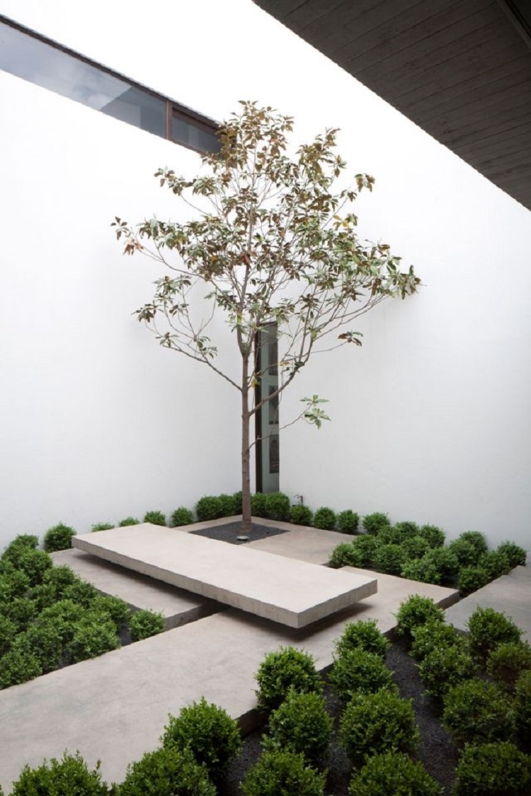 giardino semplice design funzionale pratico