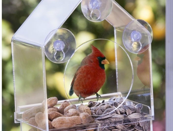 La mangiatoia – ecco come fare una simpatica casetta per gli uccelli