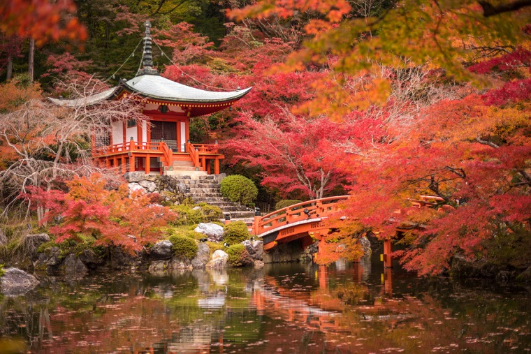 acero giapponese parco tempio