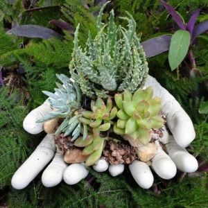 Giardinaggio – idee e proposte molto originali anche fai da te