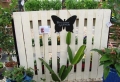 Idee giardino in pallet: una selezione di mobili e accessori davvero originali
