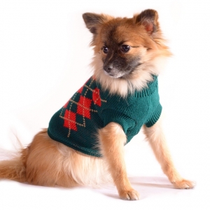 Vestiti per cani: per affrontare il cambio di stagione ben preparati