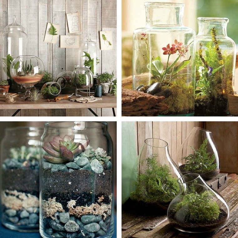 piante da interno idea vasi vetro