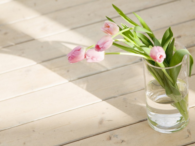 piante da ombra idea decorazione tulipani