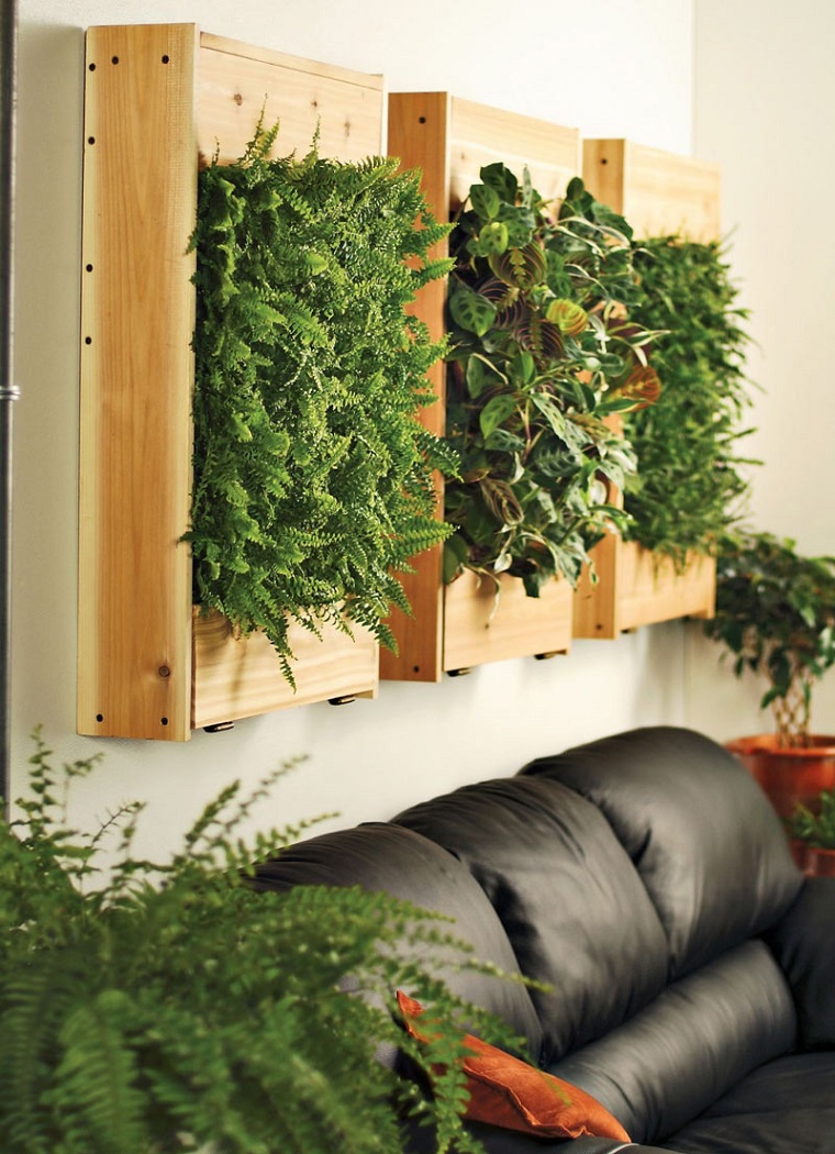 piante per interni interno casse legno verticali