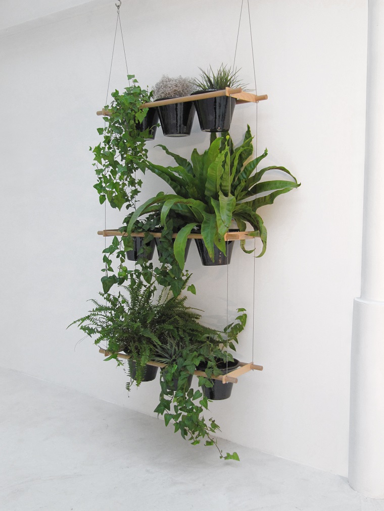 piante per interni proposta originale parete