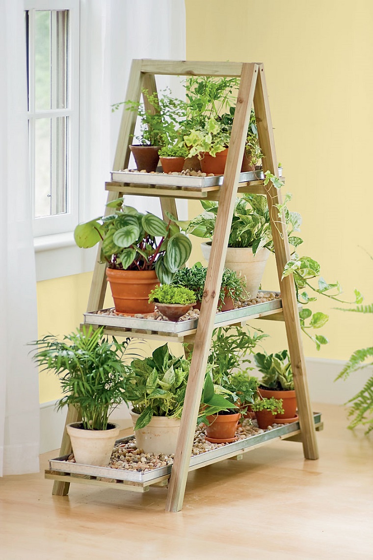 piante per interno disposte scala legno