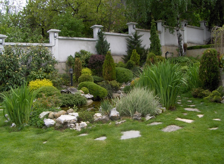 Piante da ombra: guida completa per un giardino fiorito tutto lanno ... Piante per aiuole sempreverdi