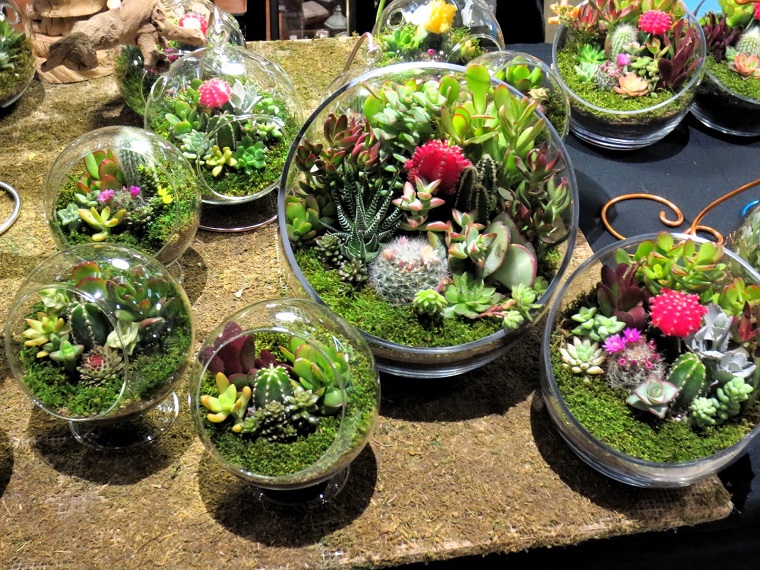 composizioni piante grasse vasetto sferici vetro
