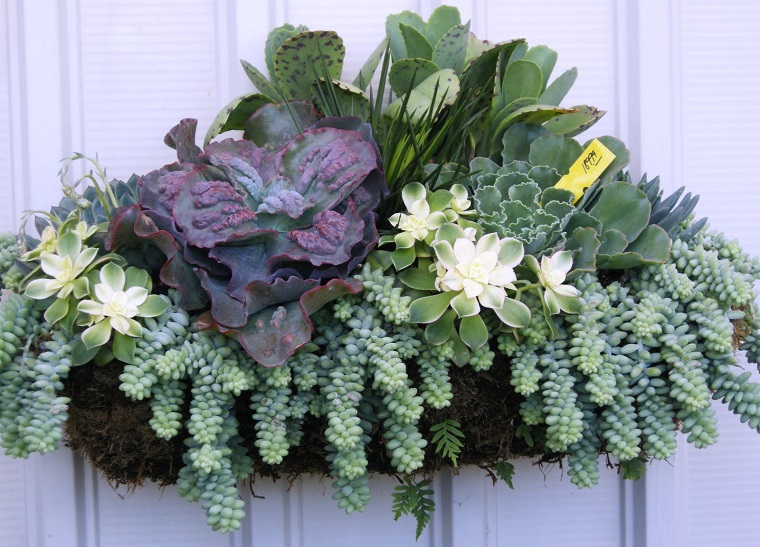 Vaso Per Piante A Forma Di Scoiattolo – Fioriera In Resina Per Piante Grasse E Cactus – Decorazione Da Tavolo E Balcone