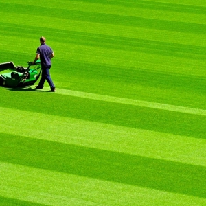 Tagliaerba: mini guida all’acquisto per un prato sempre perfetto!