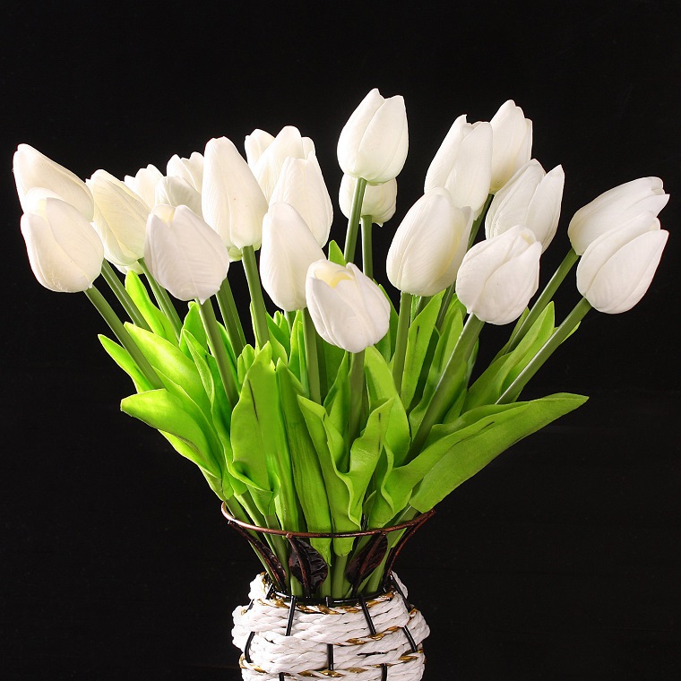 fiori da balcone tulipani bianchi