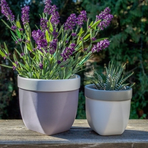 Fiori da balcone: le specie più belle ed adatte ad essere coltivate in vaso