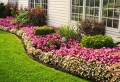 Aiuole per giardino: tante composizioni piene di colori brillanti