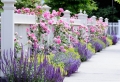 Aiuole per giardino: tante composizioni piene di colori brillanti