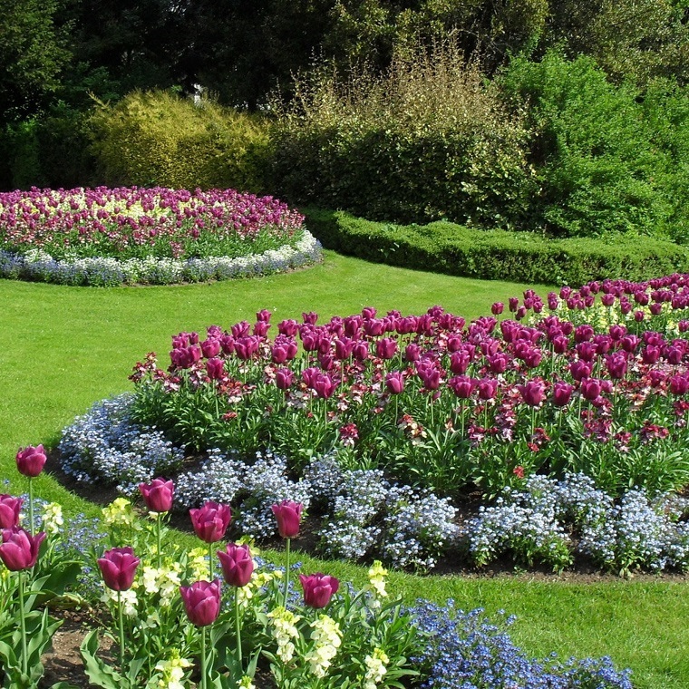aiuole per giardino-splendidi-tulipani