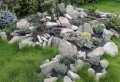 Giardini rocciosi: ecco come creare un’area esterna originale