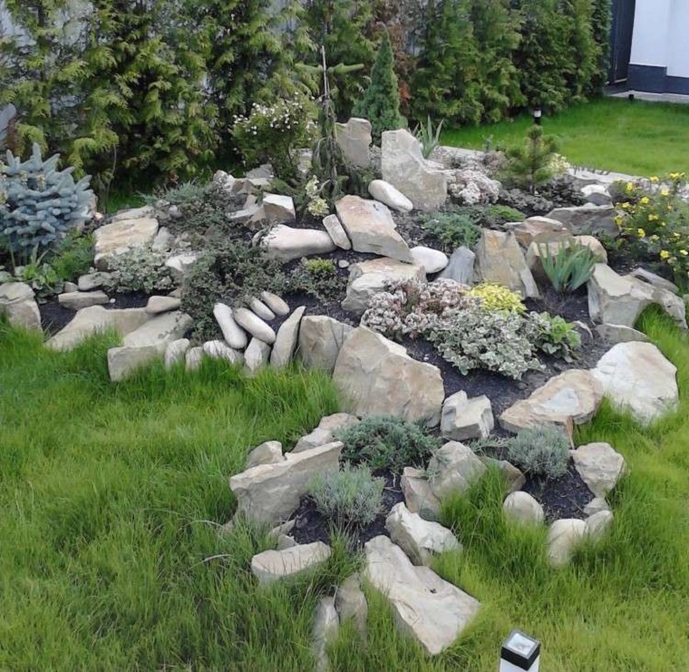 Giardini rocciosi: ecco come creare unarea esterna originale ... Composizione piante grasse giardino