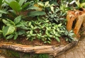 Bordure per aiuole in pietra e legno: ecco le soluzioni più originali