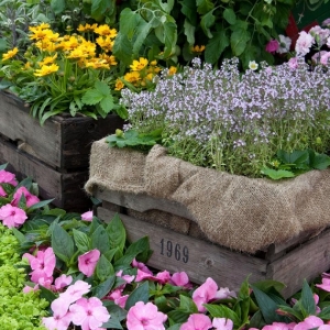 Fioriere fai da te: semaforo verde a originalità e riciclo!