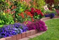 Giardini con sassi: tante idee per valorizzare lo spazio esterno
