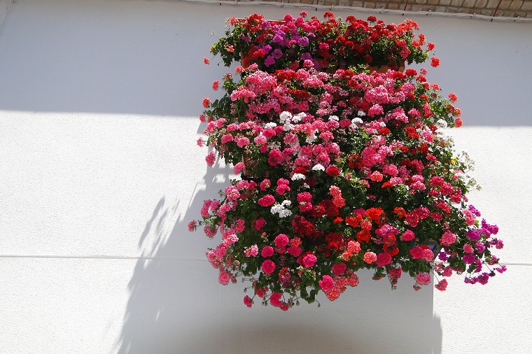 balconi-fioriti-sfumature-rosa