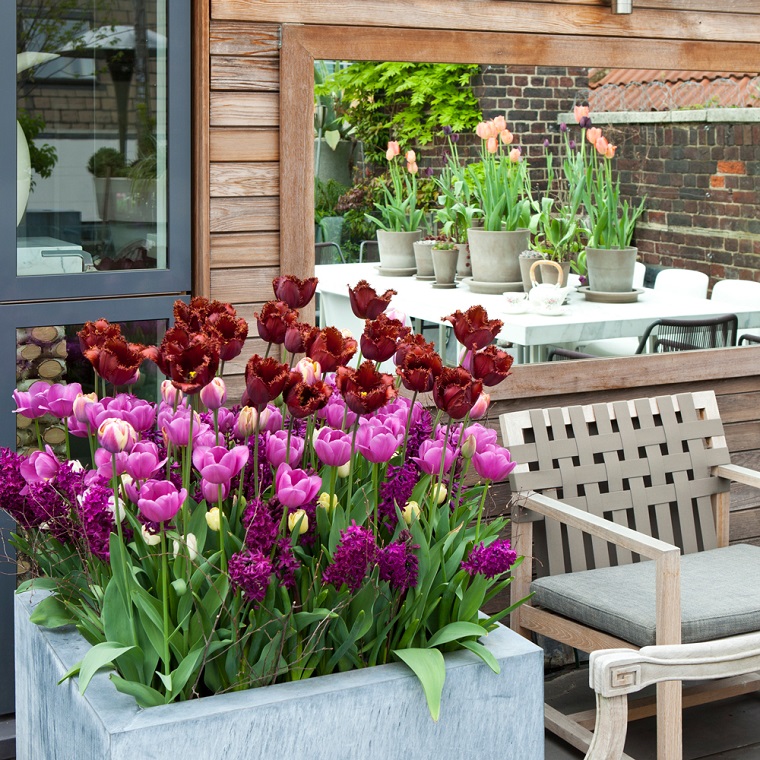 balconi-fioriti-tulipani-rosa