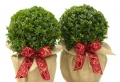 Idee regalo Natale: tantissime proposte tutte…con i fiocchi!
