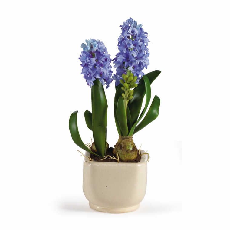 idee-regalo-natale-proposta-pianta-fiori-blu-interno-vaso-ceramica-bianca