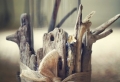 Decorazioni marine – idee creative per le finestre di casa
