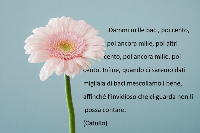 Frasi simpatiche e una di Catullo, citazione scritta su uno sfondo azzurro e fiore rosa 