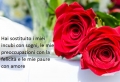Frasi buongiorno: le parole giuste per iniziare al meglio la giornata!