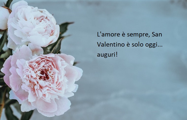 Dedica per la festa degli innamorati, immagine con rose bianche e sfondo azzurro 