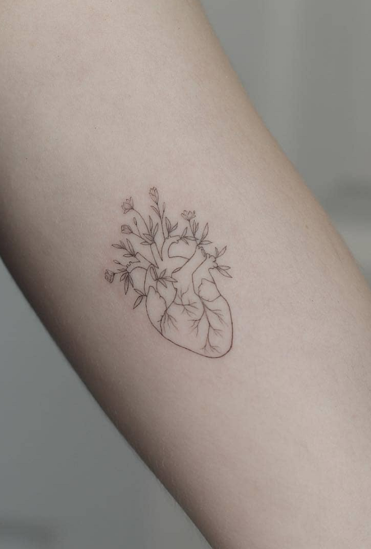 tatuaggio cuore significato disegno cuoricino anatomico con aorta rami tattoo braccio donna