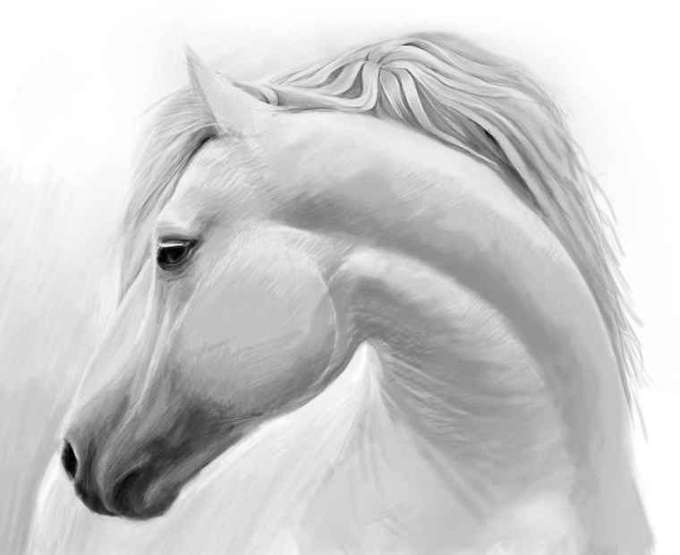 Cavallo bianco, disegni facili da fare con matita, leggere sfumature e sfondo bianco 