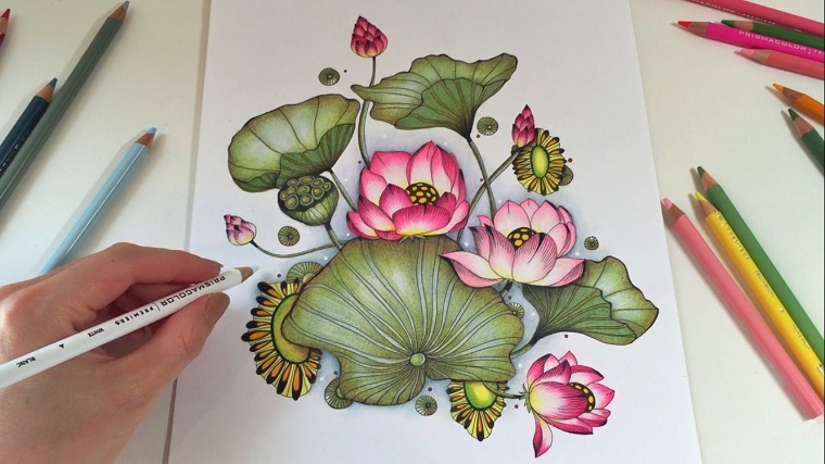 Idea come disegnare i fiori, foglie verdi e petali colorati con matite 